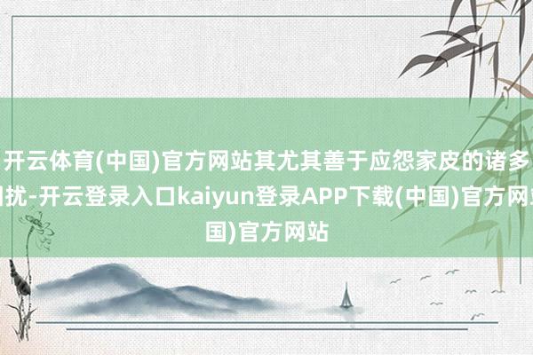 开云体育(中国)官方网站其尤其善于应怨家皮的诸多困扰-开云登录入口kaiyun登录APP下载(中国)官方网站