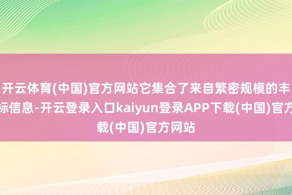 开云体育(中国)官方网站它集合了来自繁密规模的丰富招标信息-开云登录入口kaiyun登录APP下载(中国)官方网站