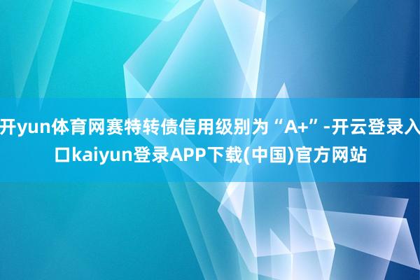 开yun体育网赛特转债信用级别为“A+”-开云登录入口kaiyun登录APP下载(中国)官方网站