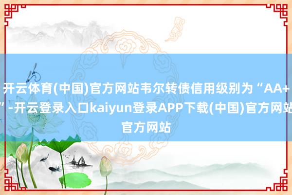 开云体育(中国)官方网站韦尔转债信用级别为“AA+”-开云登录入口kaiyun登录APP下载(中国)官方网站