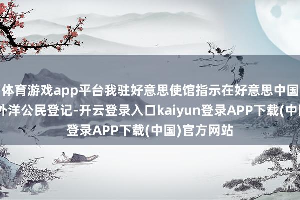 体育游戏app平台我驻好意思使馆指示在好意思中国公民进行“外洋公民登记-开云登录入口kaiyun登录APP下载(中国)官方网站