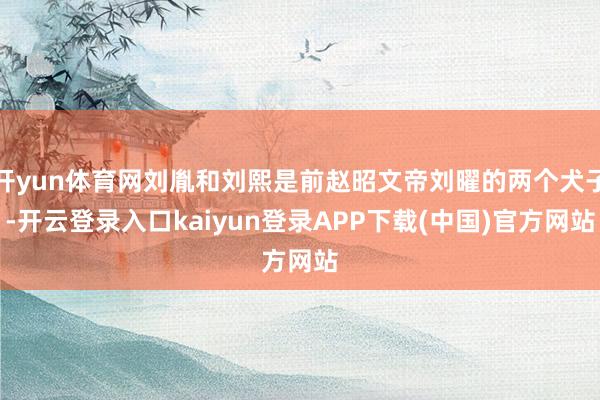 开yun体育网刘胤和刘熙是前赵昭文帝刘曜的两个犬子-开云登录入口kaiyun登录APP下载(中国)官方网站